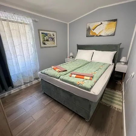 Golden Bis 2, Subotica